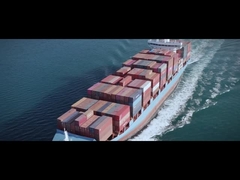 50Hz 60Hz আউটপুট ফ্যাক্টরি সহ মাল্টি প্রোটেকশন সিঙ্গেল/থ্রি ফেজ VFD