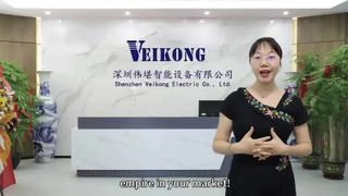 VEIKONG VFD দামের দাম থেকে আসা ব্যাখ্যা করুন