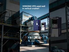উল্লম্ব পেষণকারী মধ্যে VEIKONG VFD